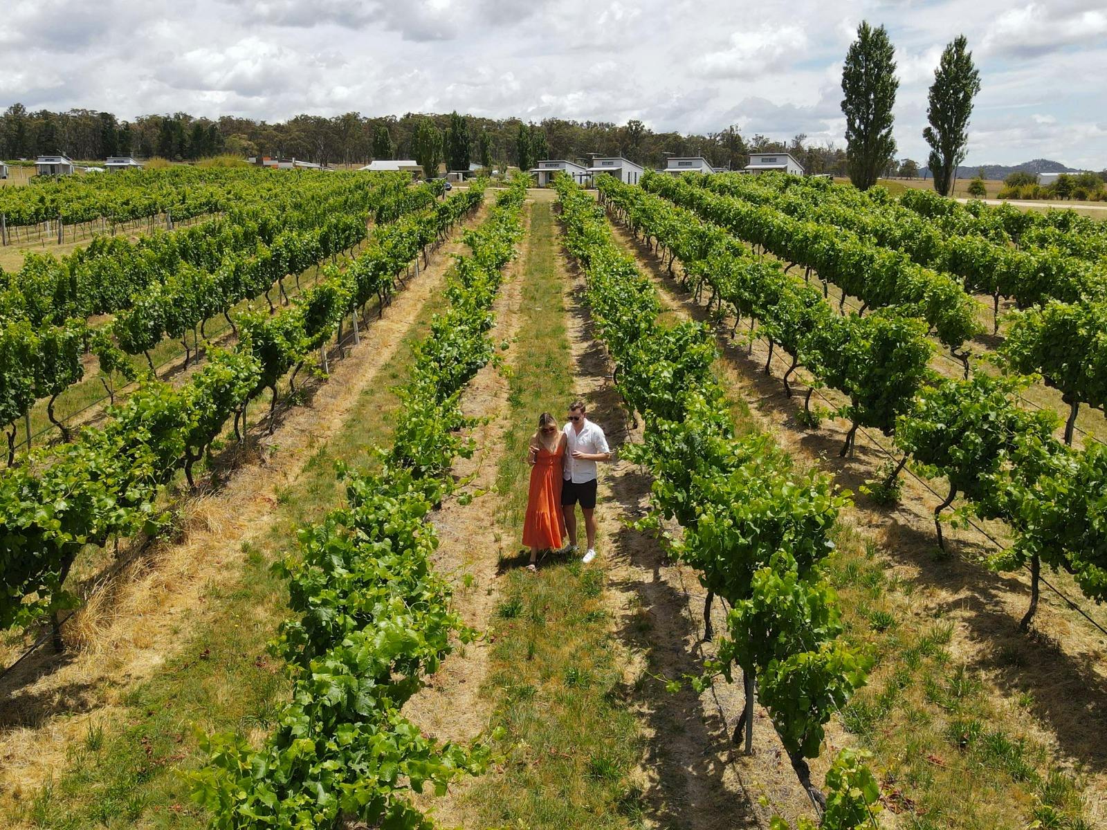 Ridgemill Estate Vineyard Indulgence Package