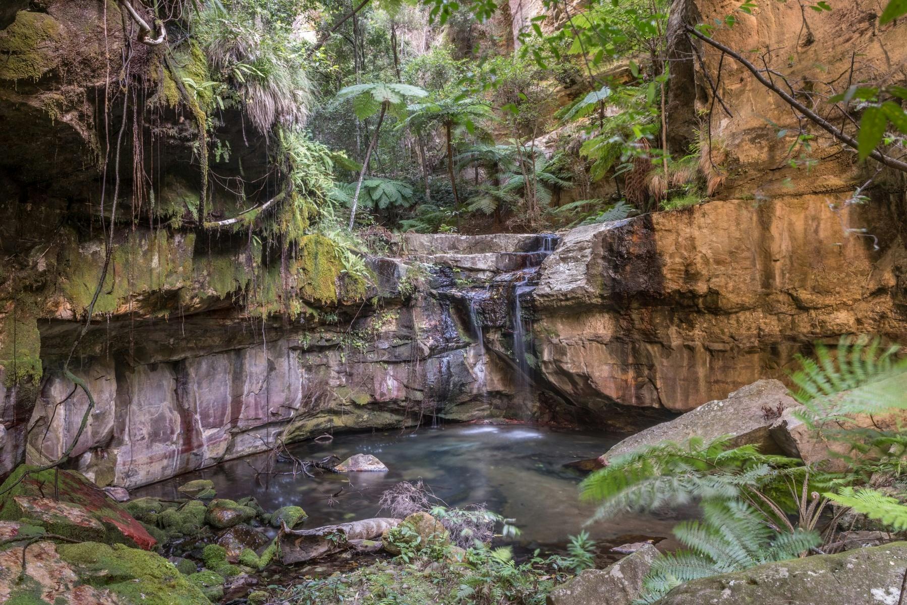 A small waterfall surrounded by rockery and green moss
