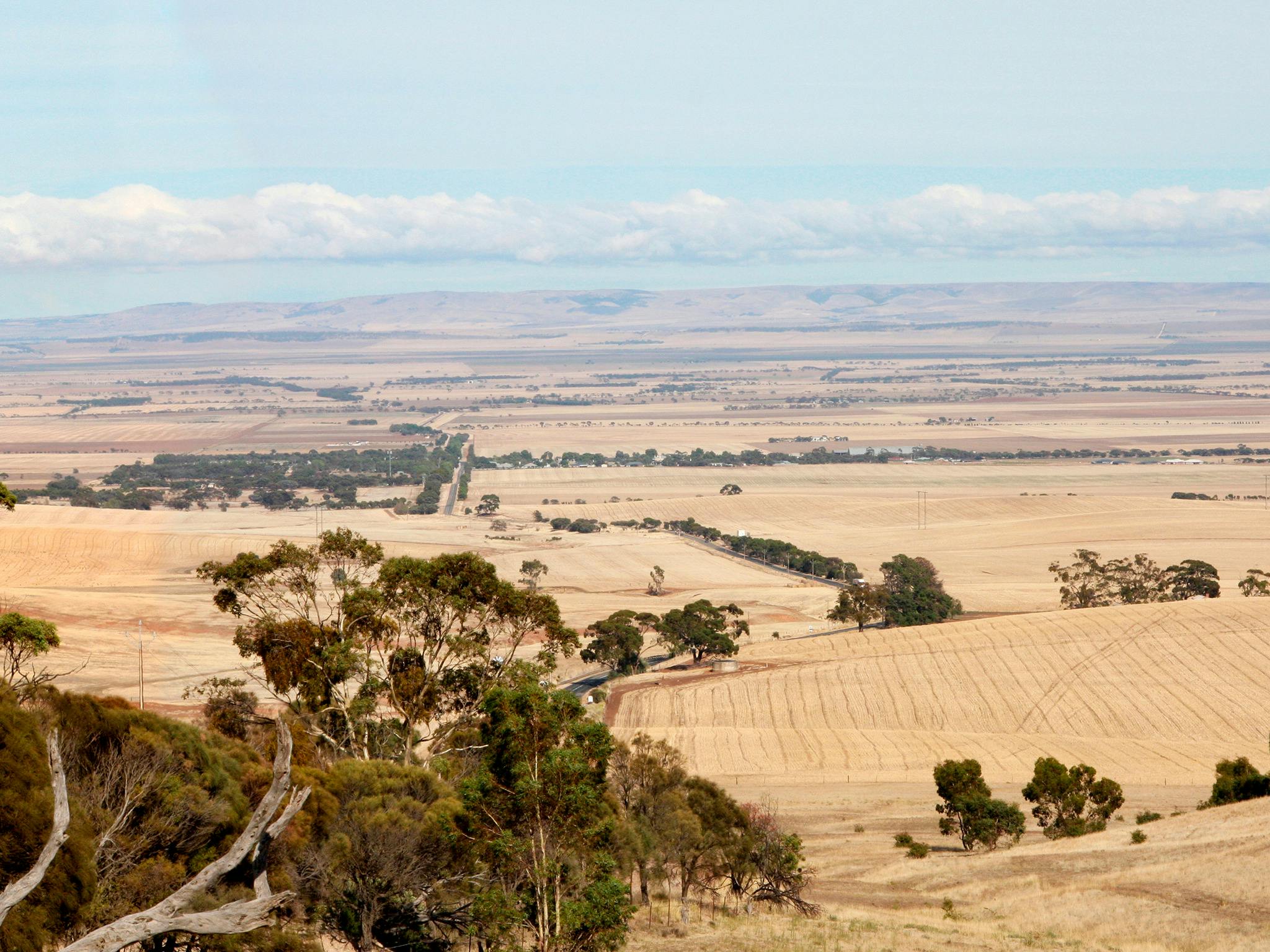 Brooks Lookout in Summer