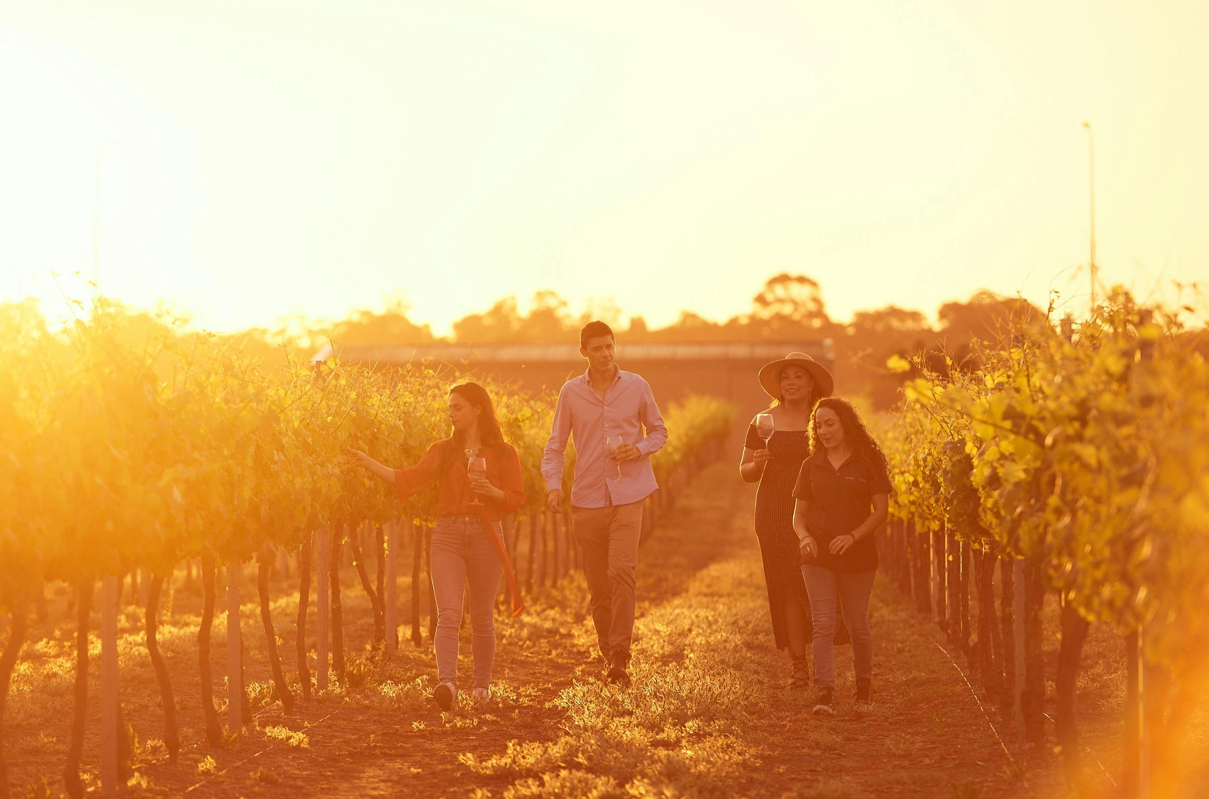 Olive Farm Wines, Swan Valley