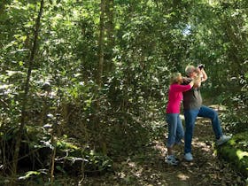 Forest path, Iluka Nature Reserve