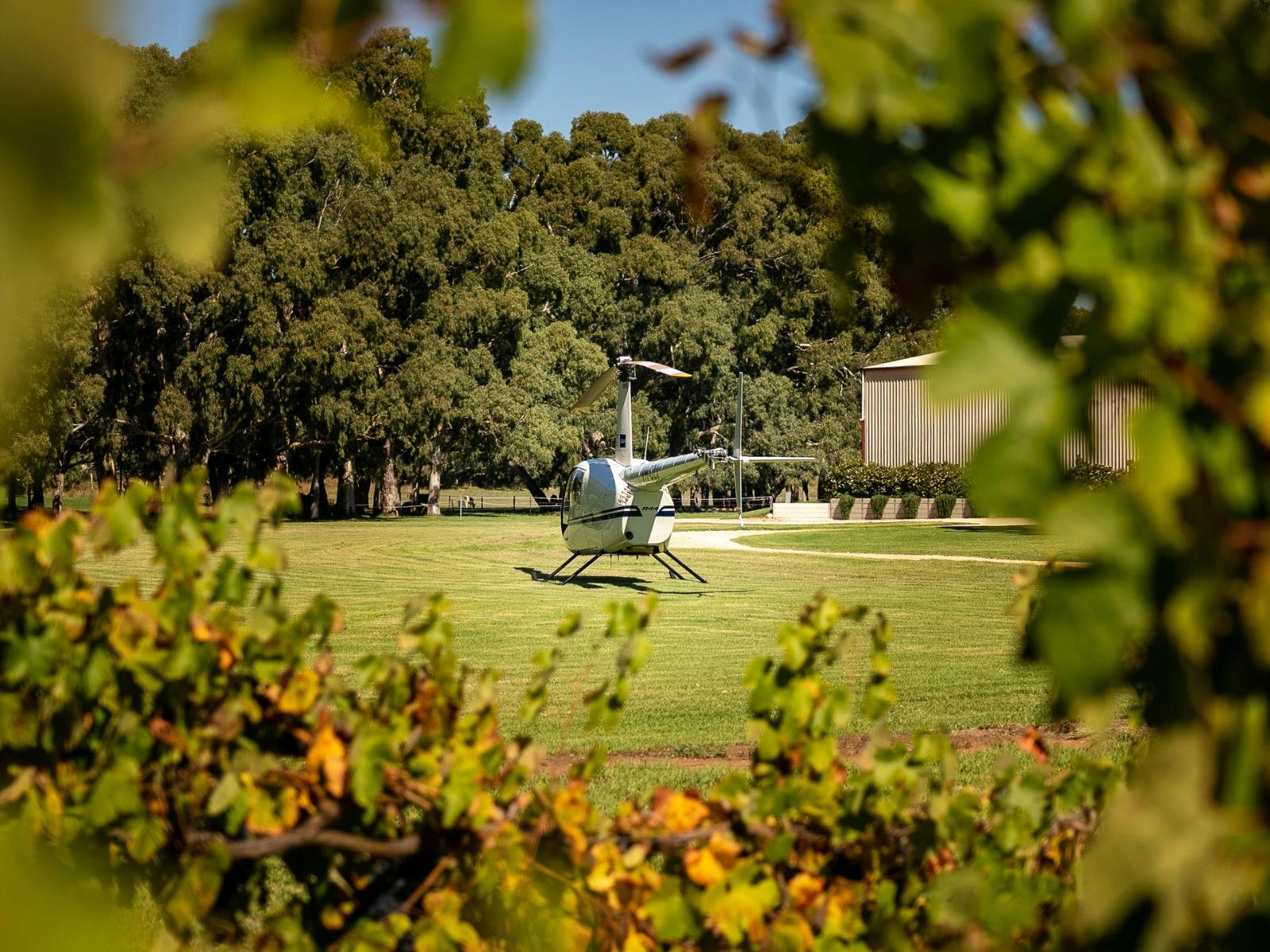 South Australian Helicopters helicopter through vineyards