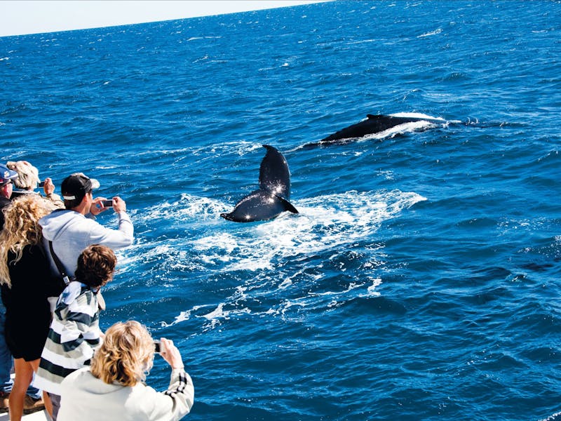 Day 5 -  Fraser Island and Hervey Bay