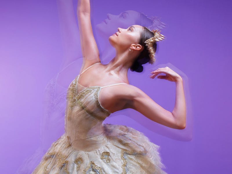 Image for The Australian Ballet on Tour: The Sleeping Beauty Act III and other works