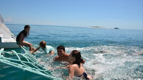 Blue Dolphin Marine Tours