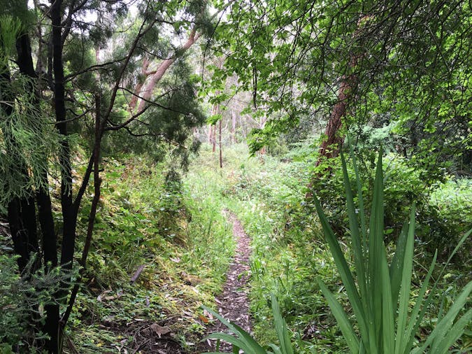 2 day Women’s Yurrebilla Trail Micro Adventure