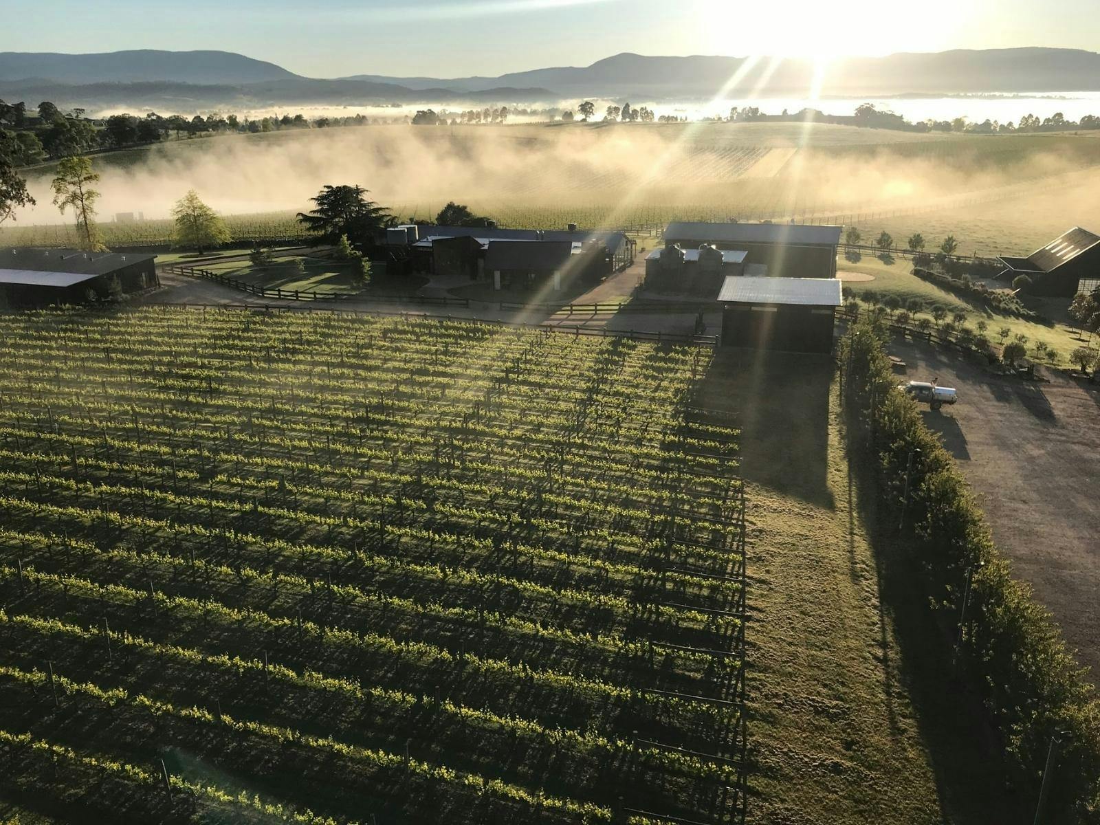Zonzo Estate Winery by Helicopter