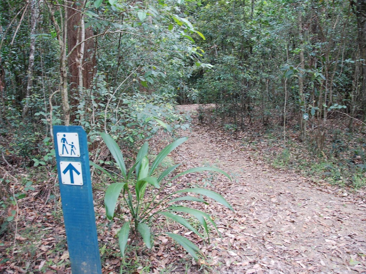 A walking track at the Neurum Creek Campgrounds