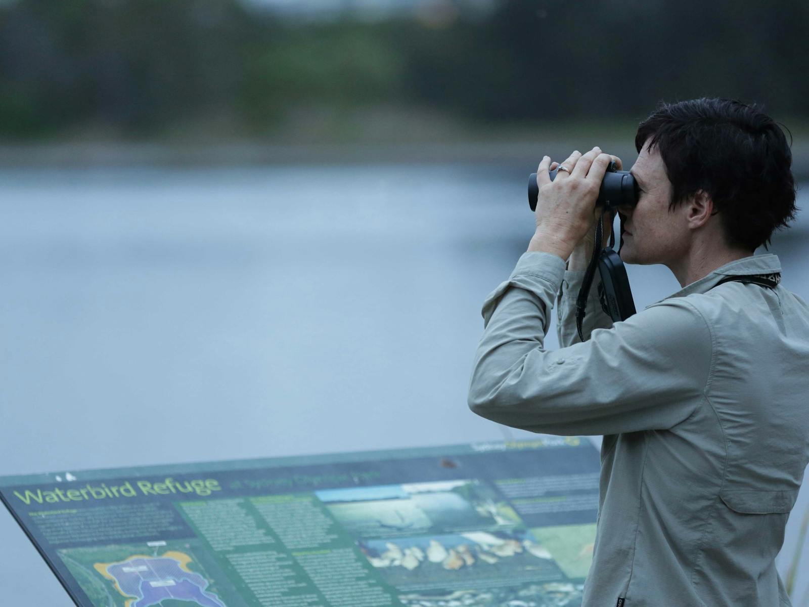 Birdwatching