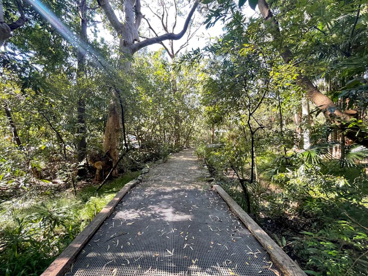 Walkway through Stony Range Botanical gardens