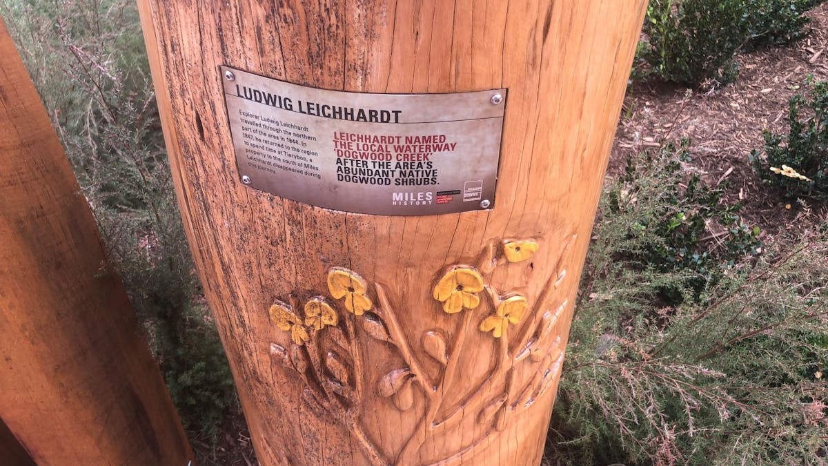 Ludwig Leichhardt named the Dogwood Creek after the abundant Dogwood schrubs