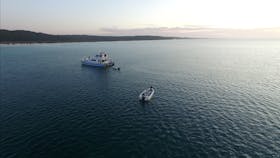 Hervey Bay Fly and Sportfishing