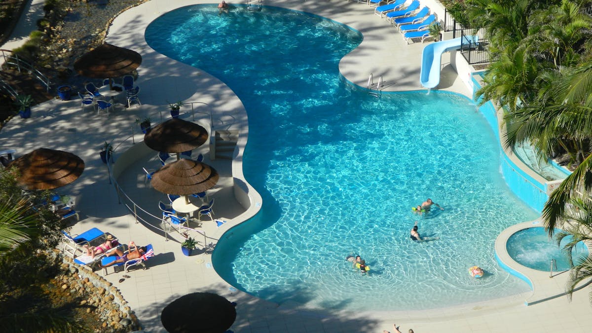 Royal Palm on the Beach