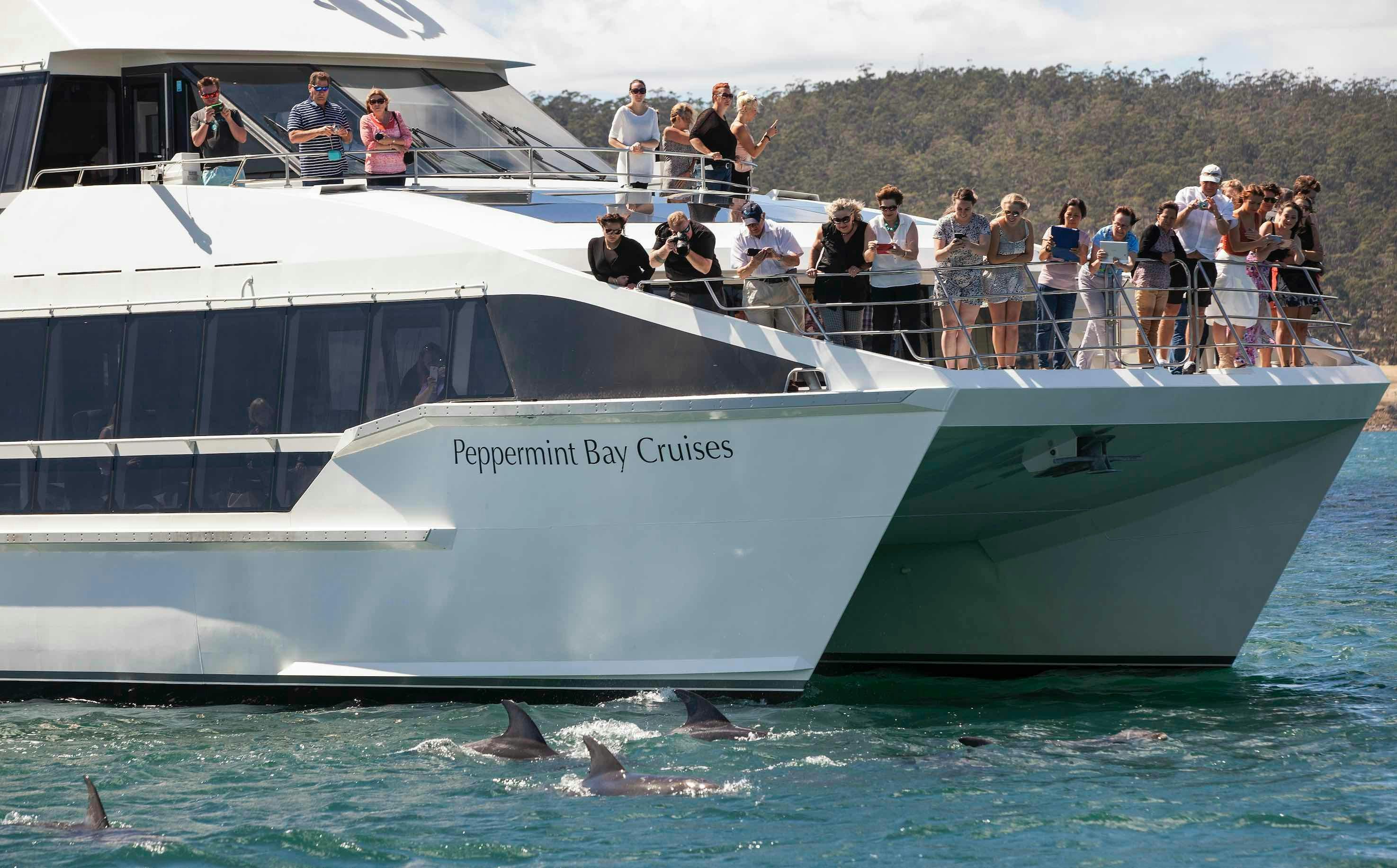 Peppermint Bay cruises