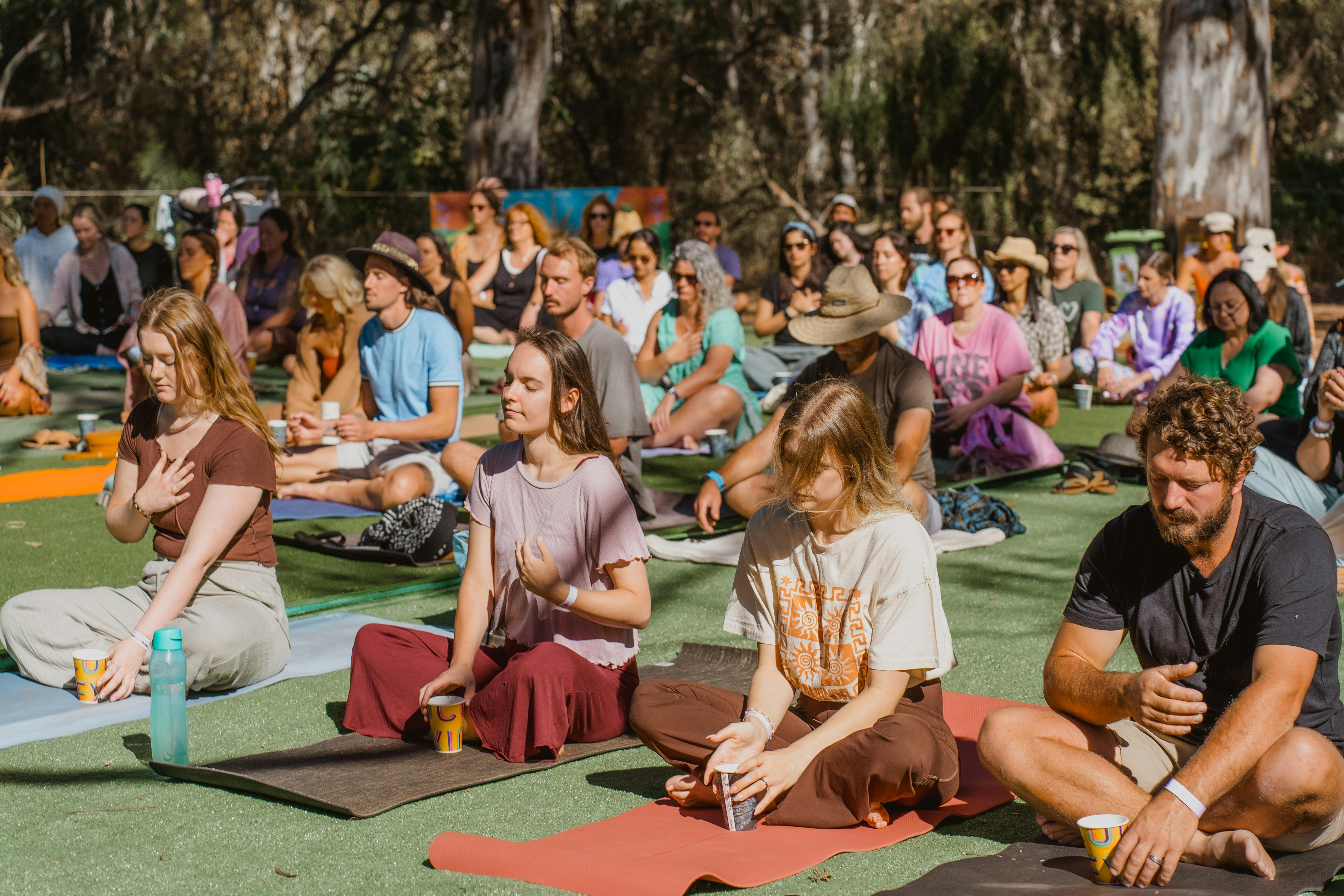 Goodness Me Festival