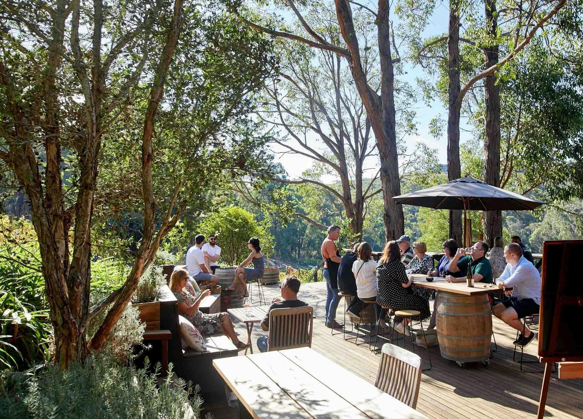 People on terrace at winery with umbrella, seating surrounded by trees