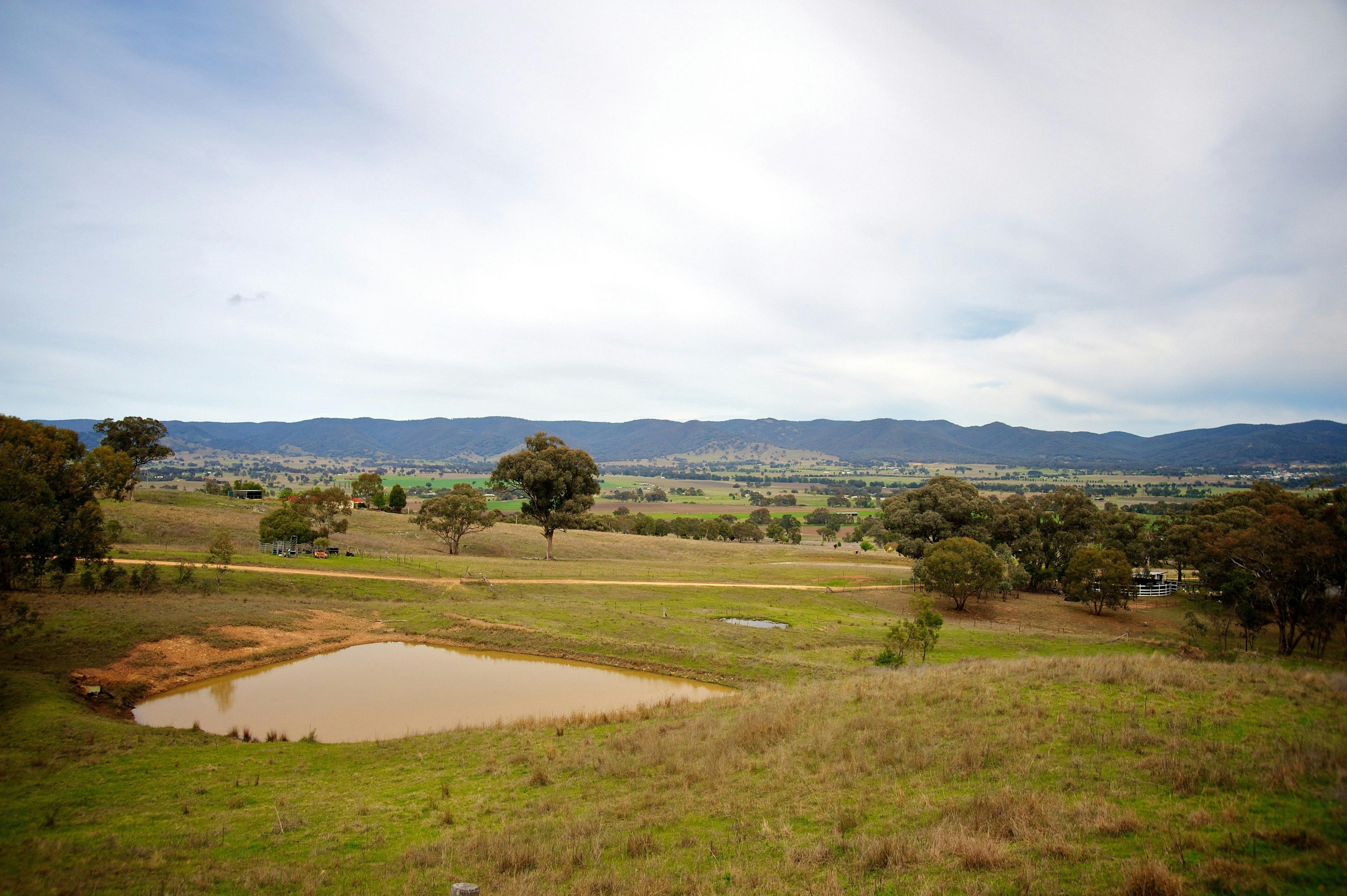 View from Chabara Cottage verandah