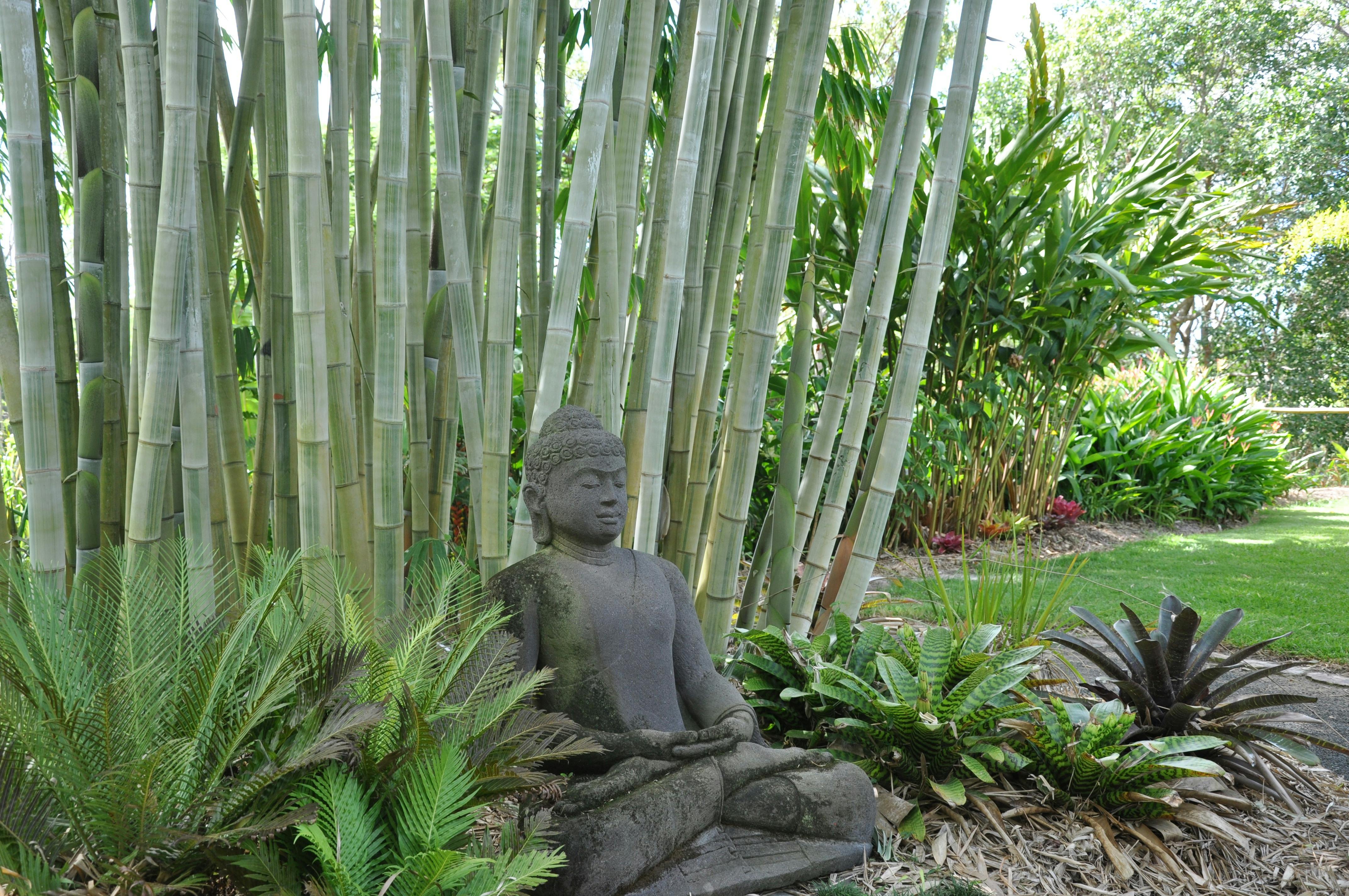 Buddha statue infront of bamboo