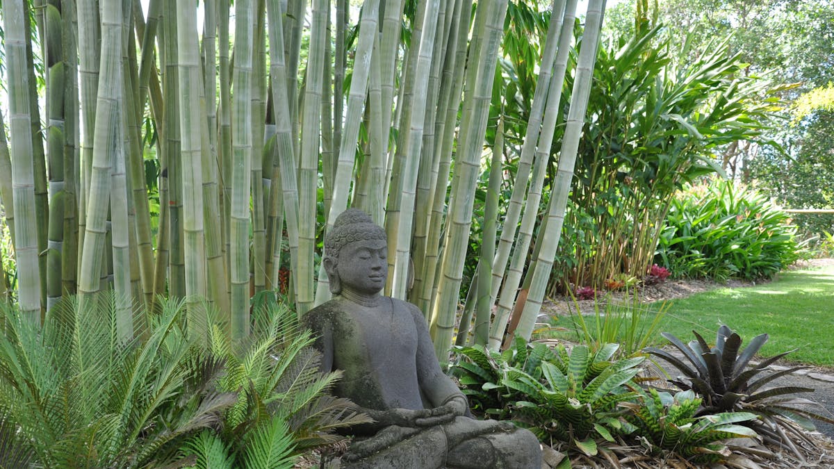 Buddha statue infront of bamboo