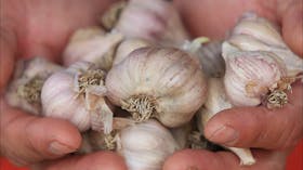 Armidale Farmers' Market