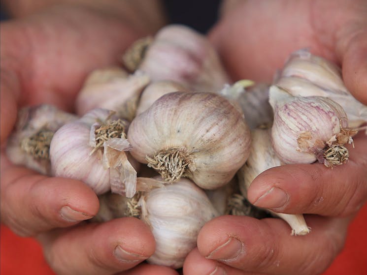 Armidale Farmers Market