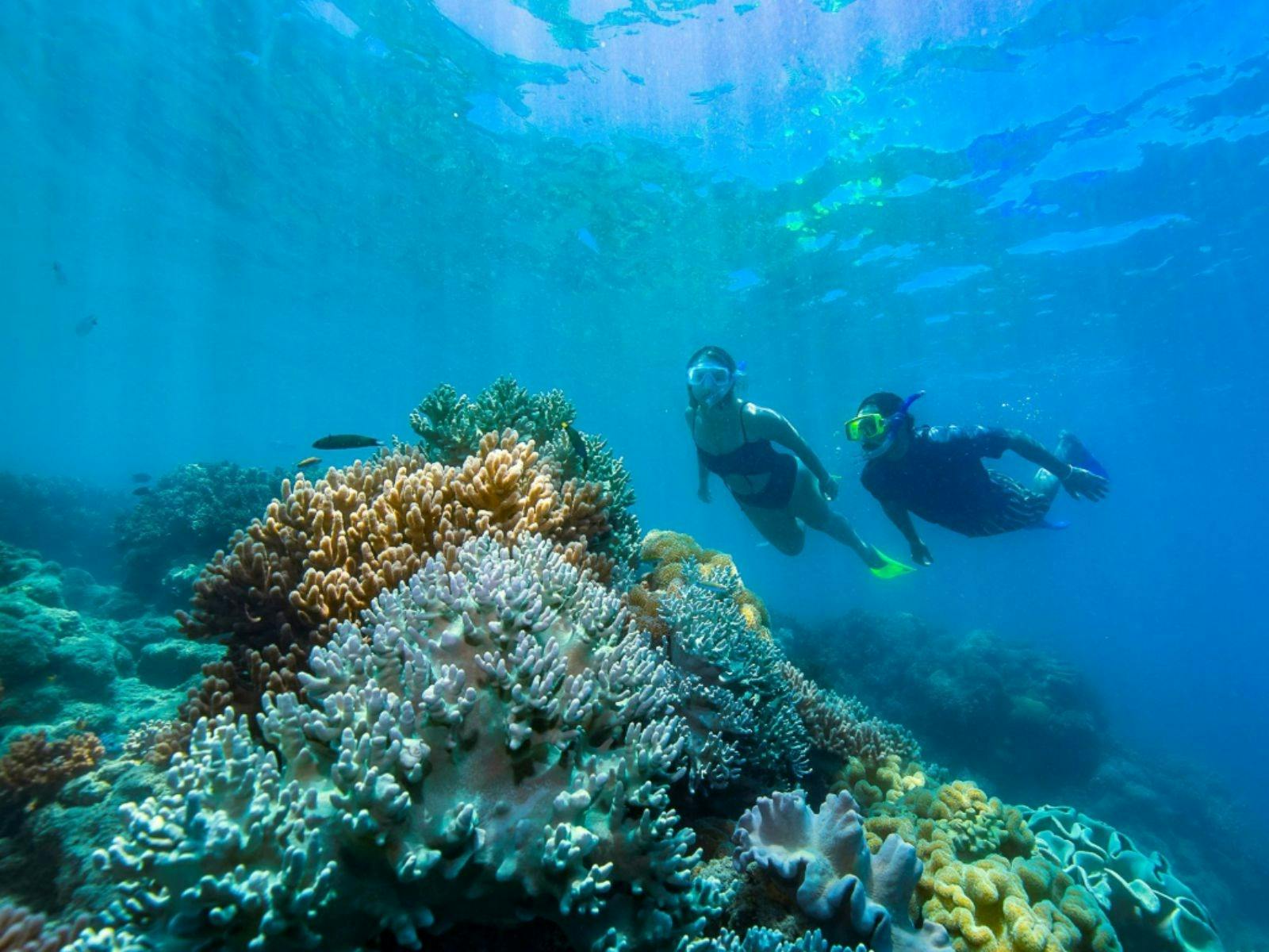 Breathing underwater, living the dream