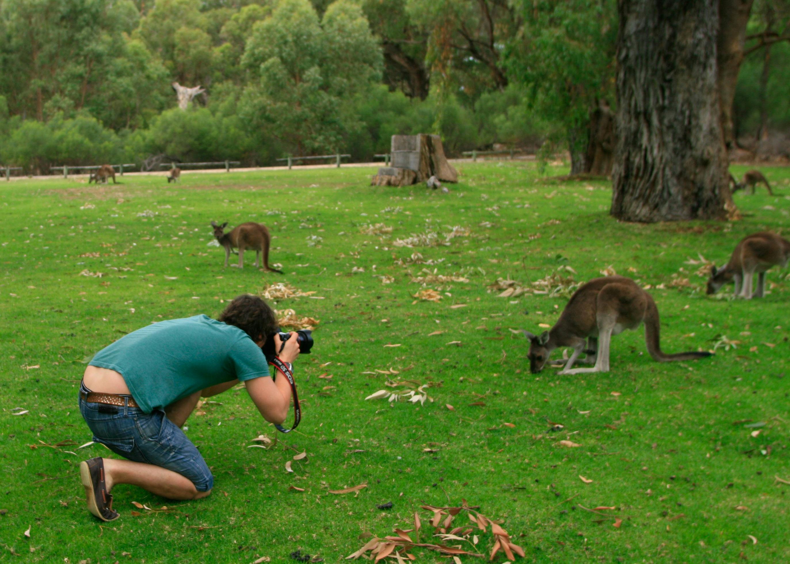 Wildlife Photography