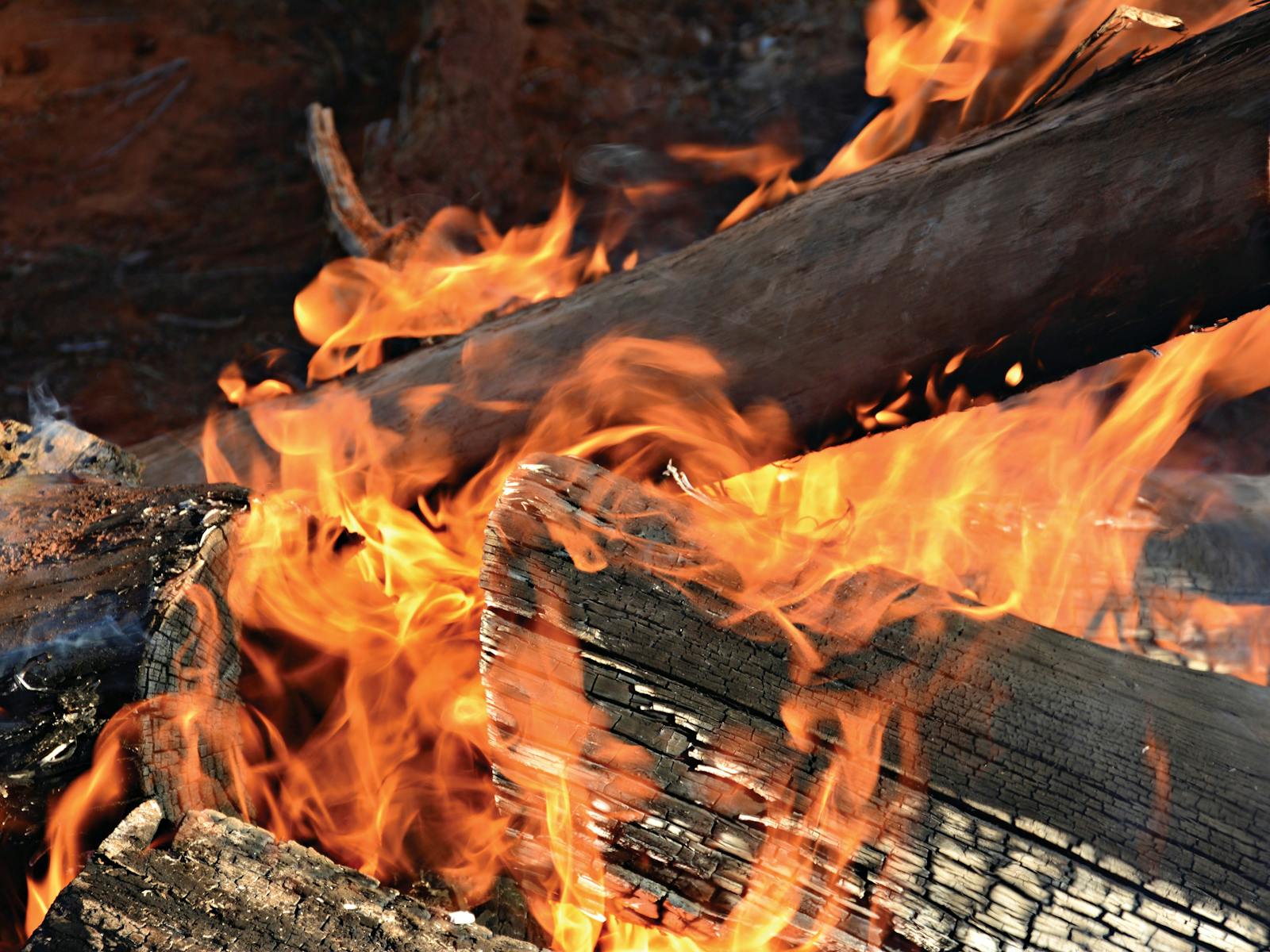 Image for Junior Ranger: Fire Safety Awareness