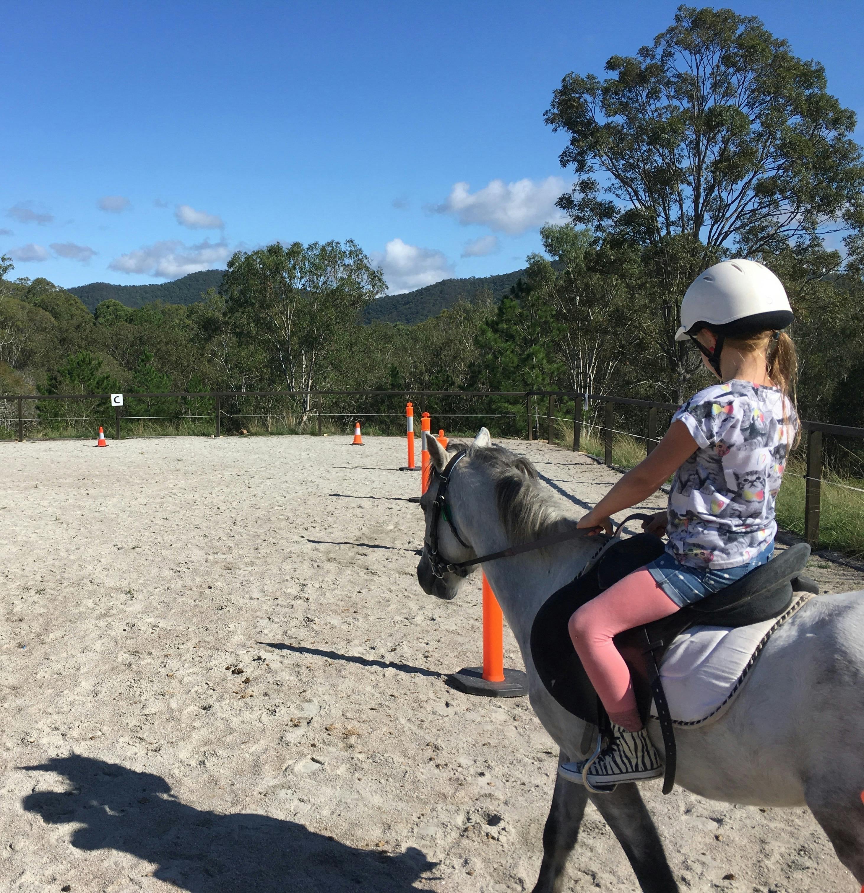 Horse Riding