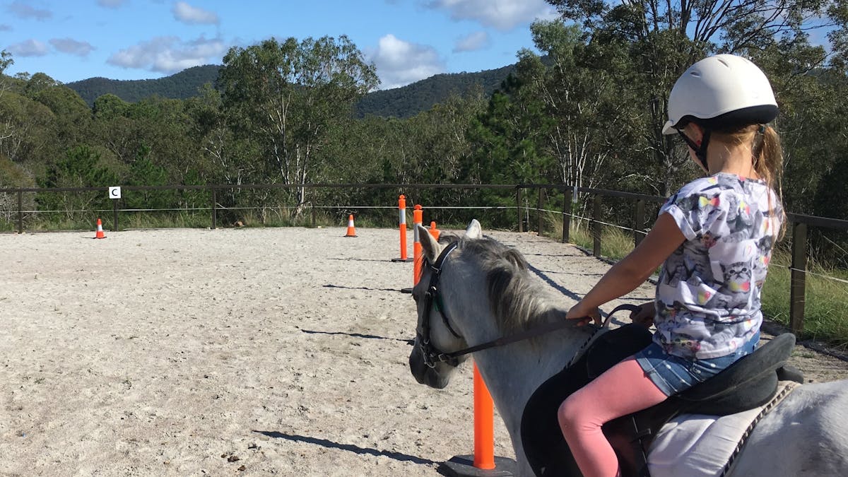 Horse Riding