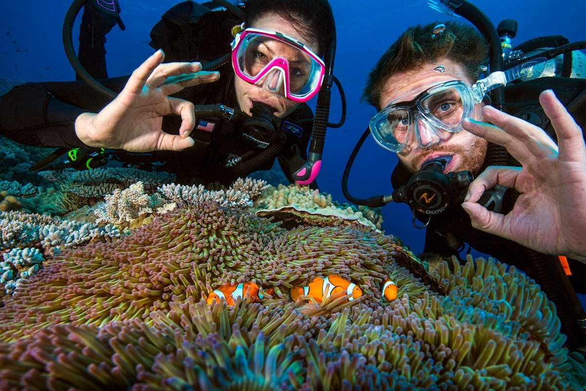 pro dive cairns dive great barrier reef