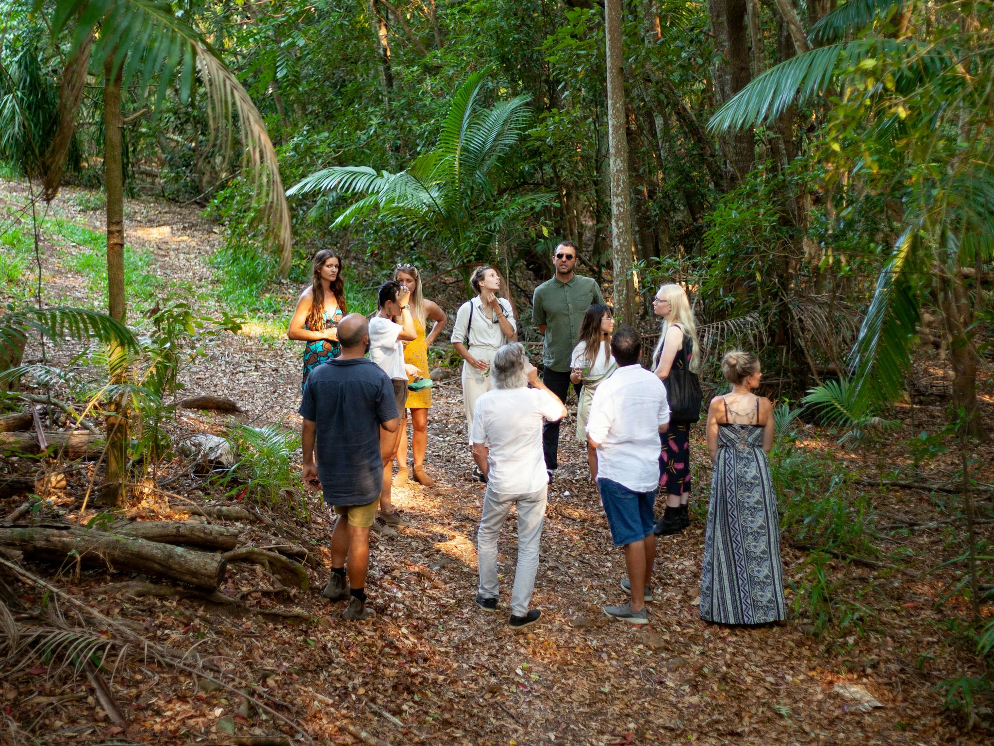 Rainforest Tour