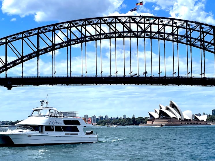 シー シドニー ハーバー ツアー | Sydney, Australia - Official シー シドニー ハーバー ツアー | Sydney, Australia - Official