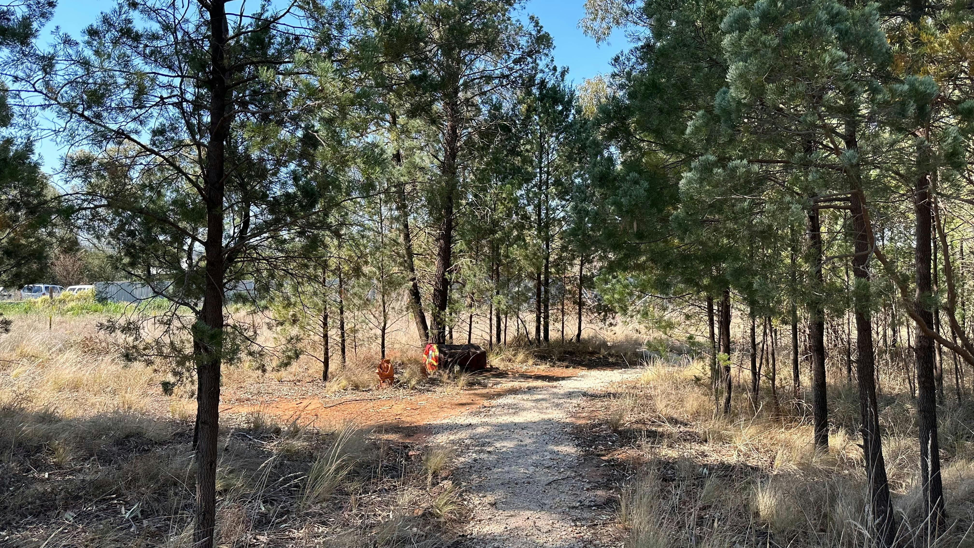 A repainted oil drum with a fake grass mat positioned along a gravel track running through pines