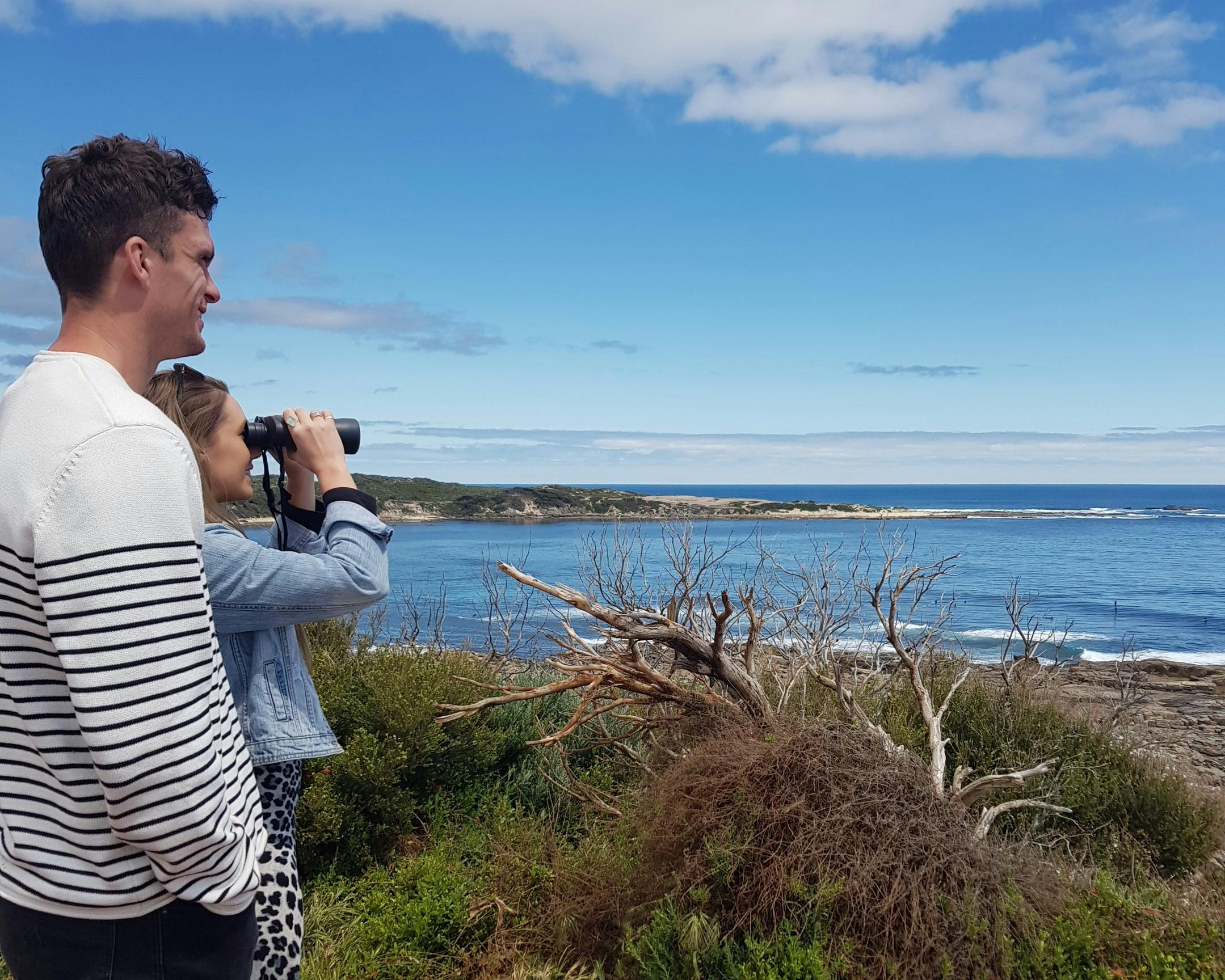Incredible scenery to watch ocean wildlife