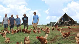 The Farm Byron Bay