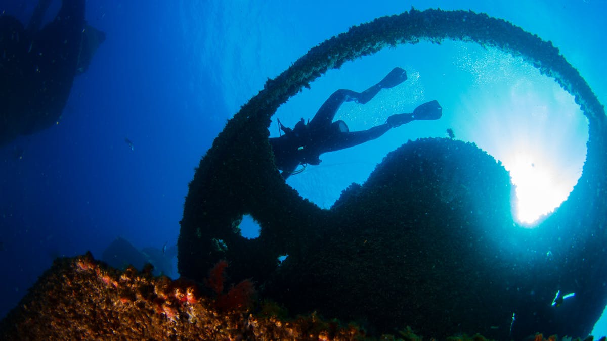 diver floating over Wonder Reef sculpture