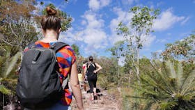Walker Creek walk