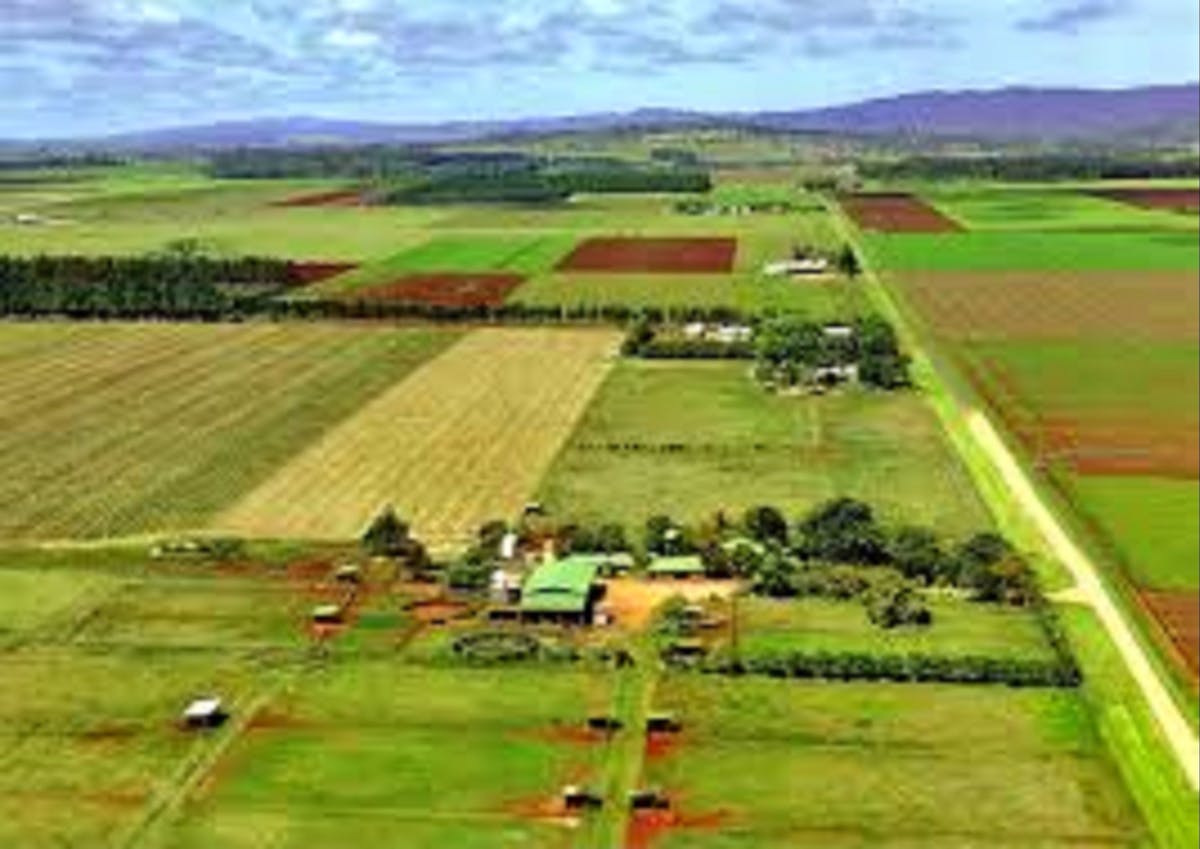 Tolga, Atherton Tablelands