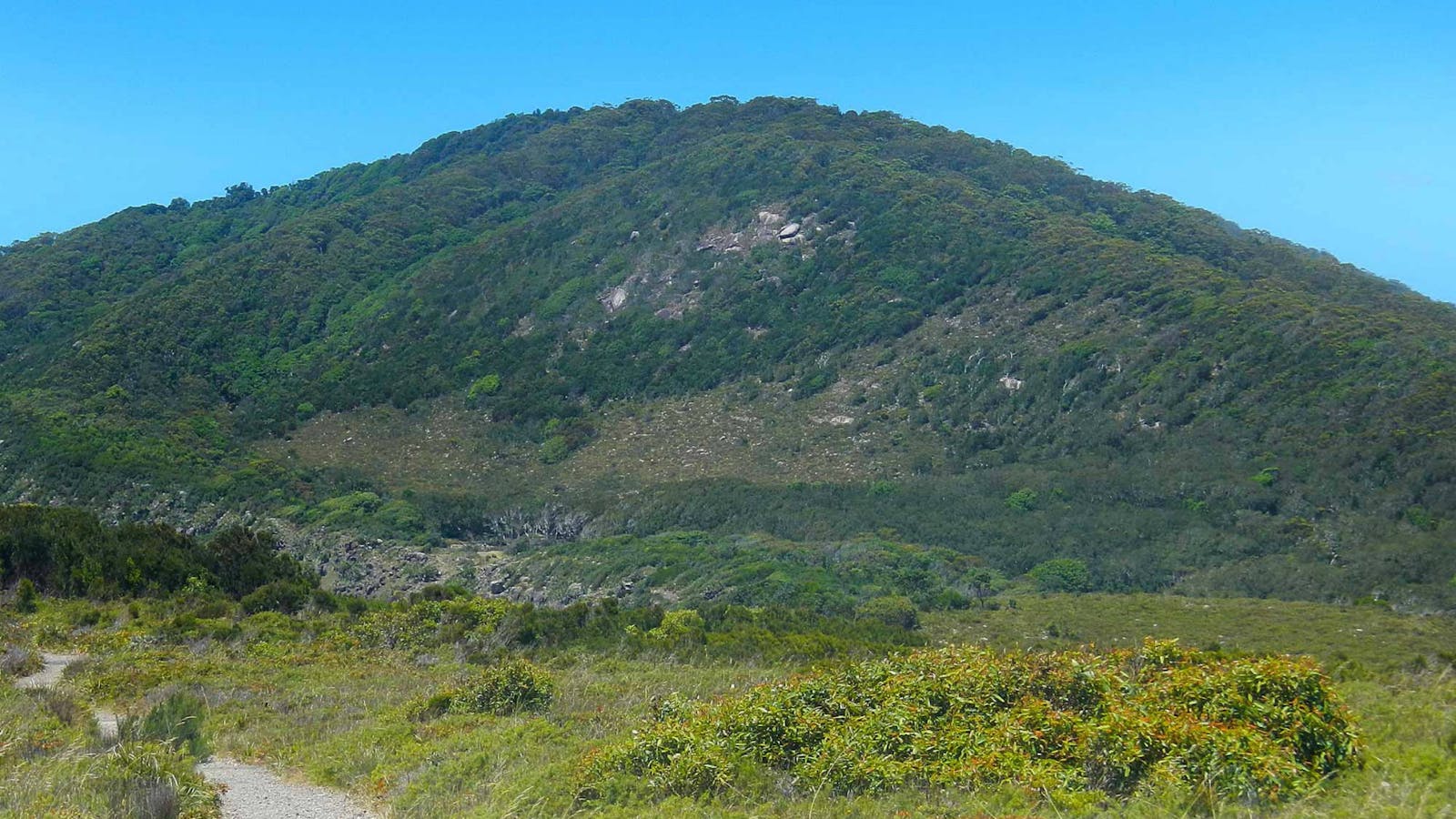 Monument Hill Walking Track