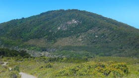 Monument Hill Walking Track