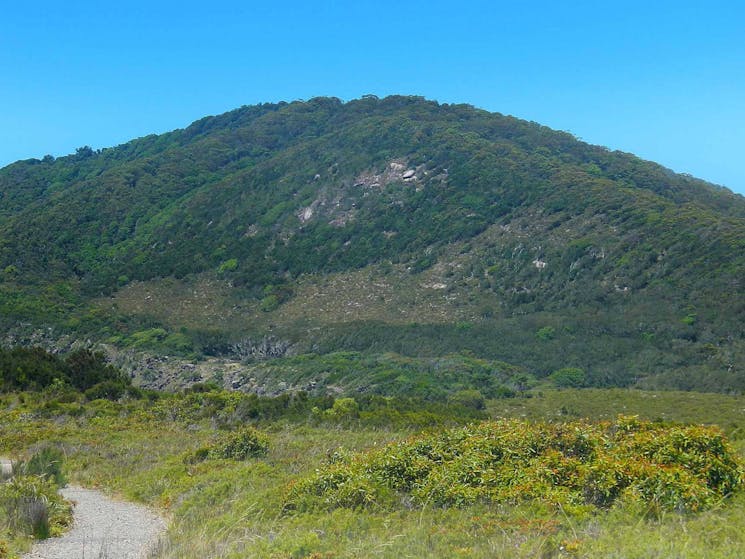 Monument Hill walking track, Arakoon National Park. Photo: Debby McGerty