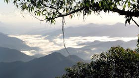 Eagles Nest Walking Track