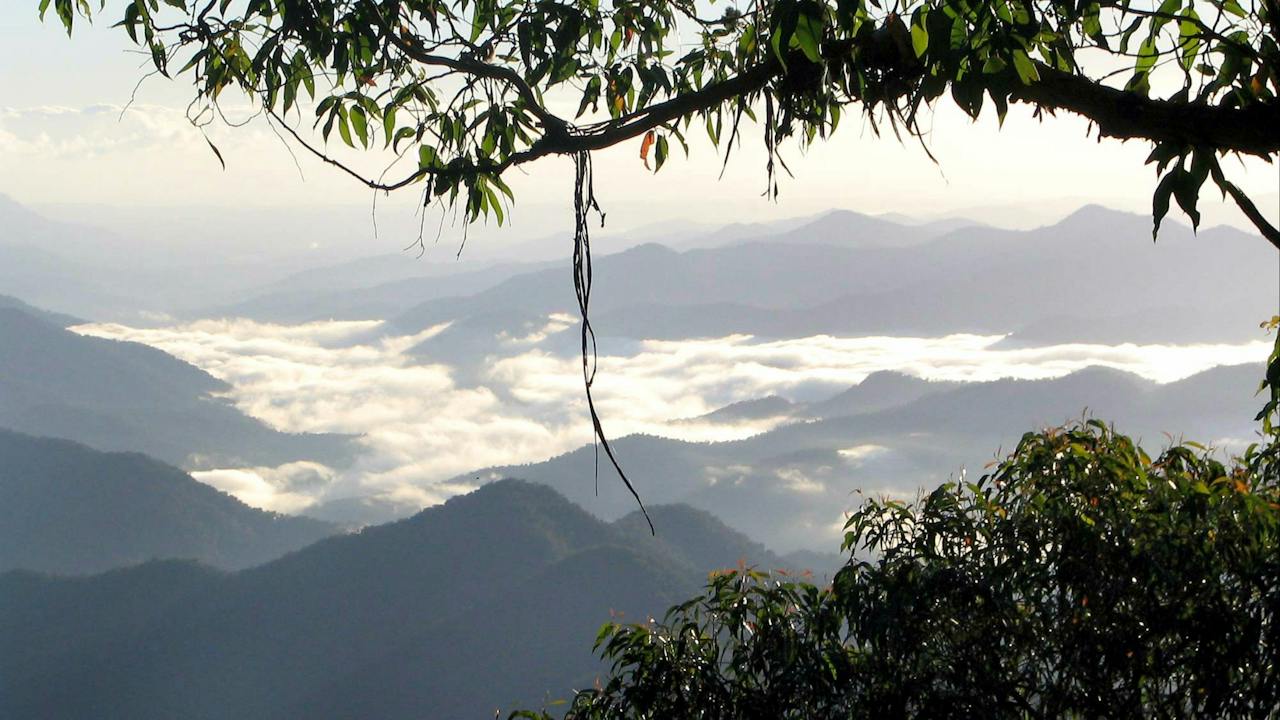 Eagles Nest Walking Track