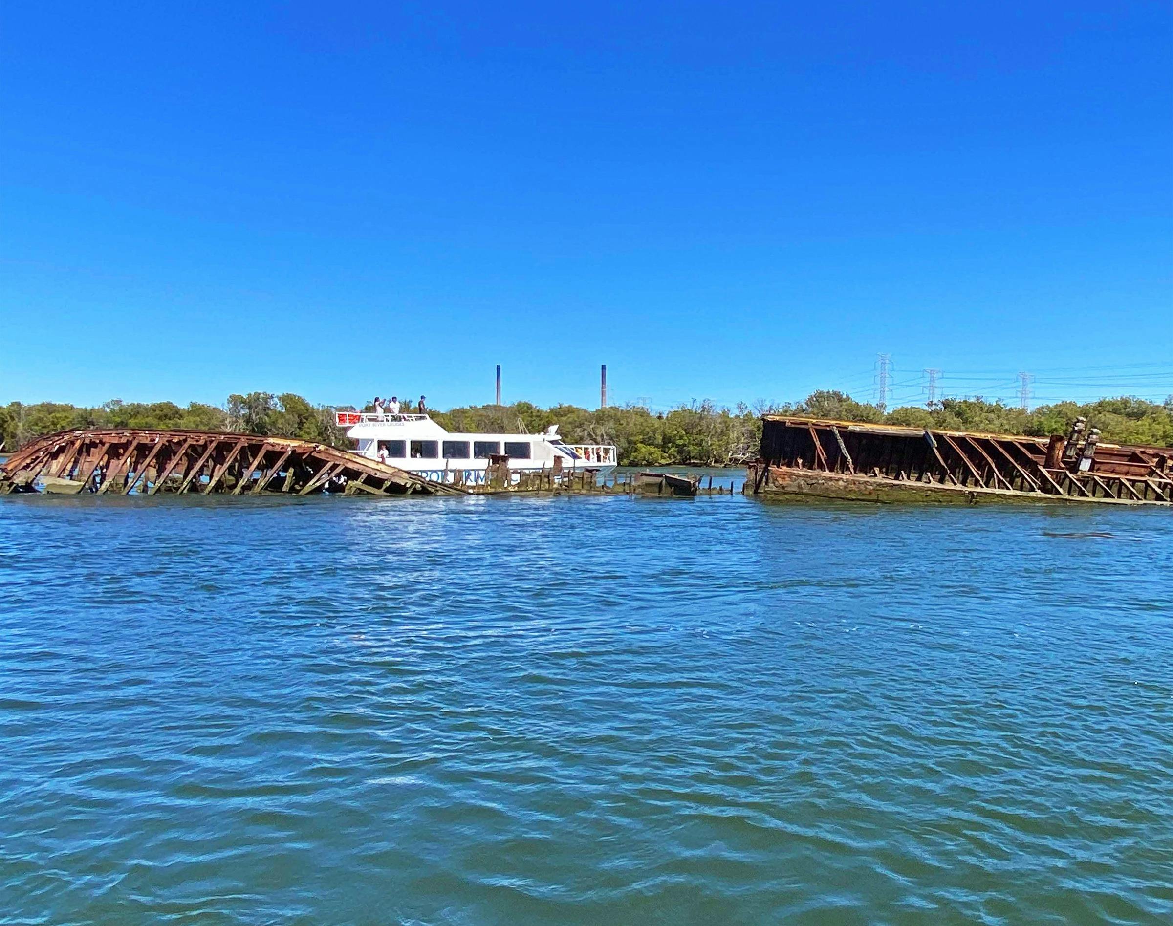 90 Minute Dolphin and Ships Graveyard Cruise