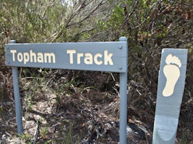 Topham Walking Track