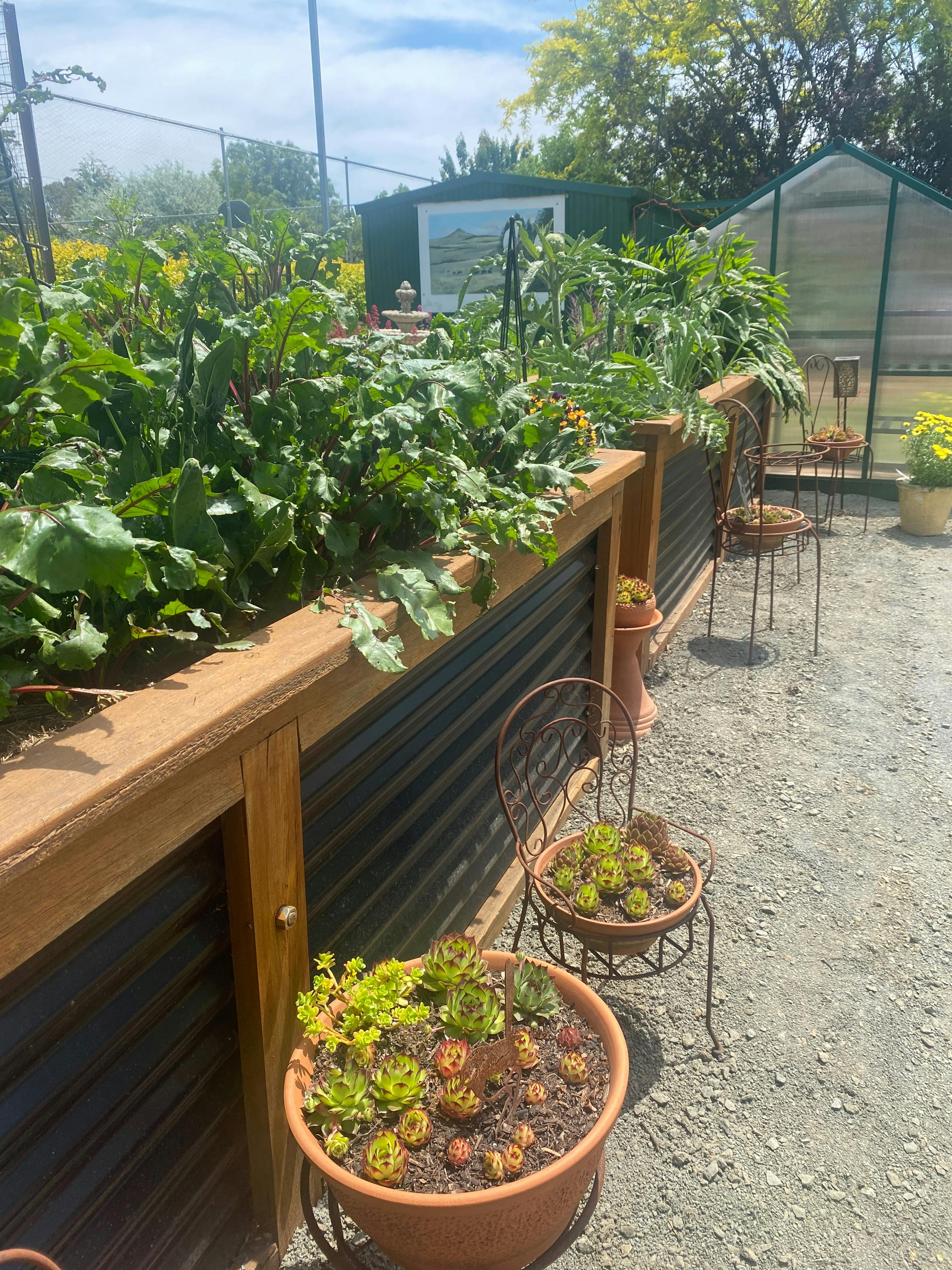 Growing well