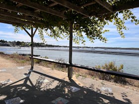 Under the Grapevine, Coffin Bay