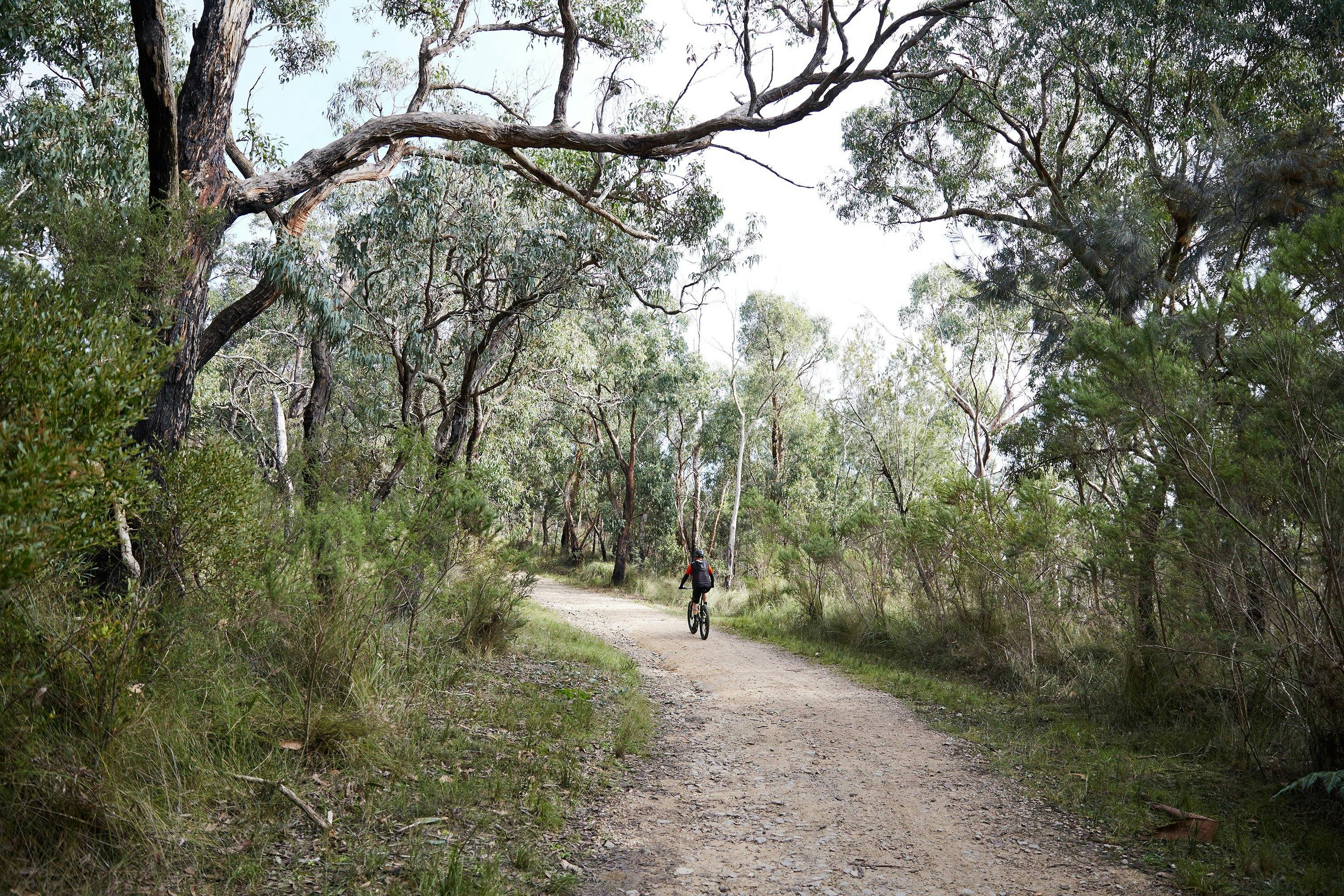 Arthurs Seat State Park