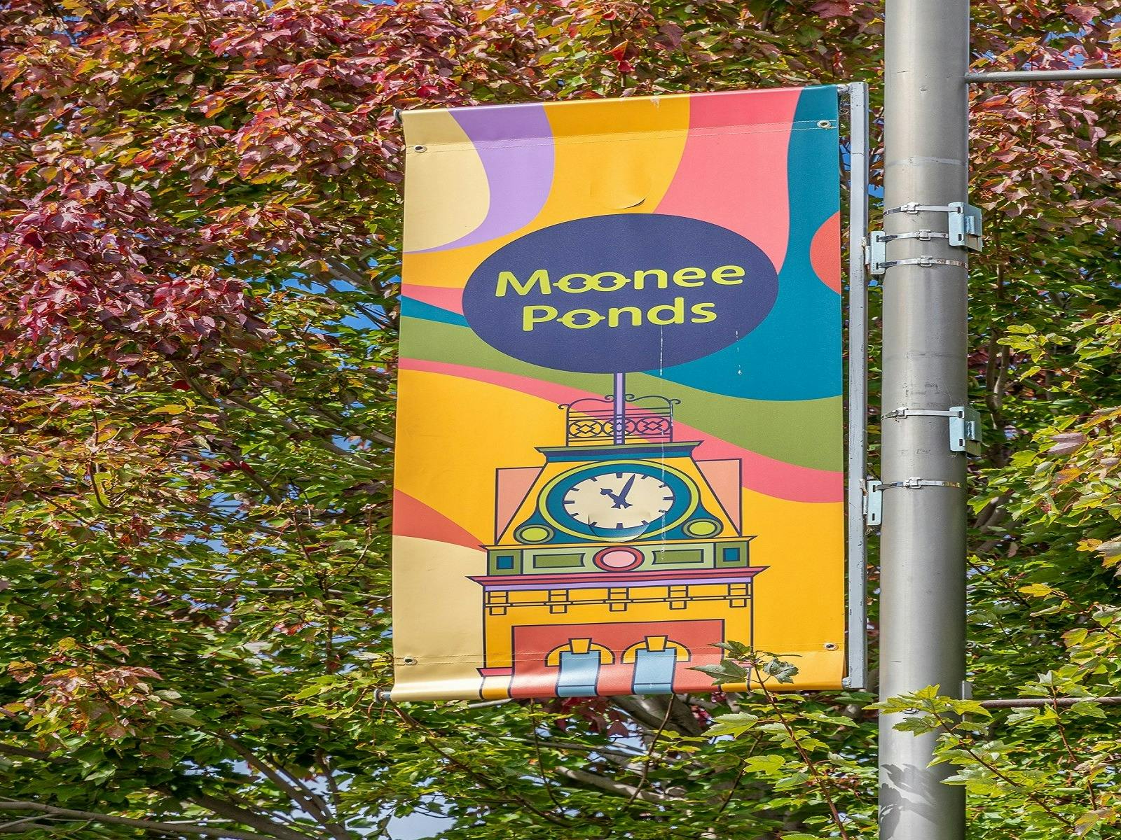Moonee